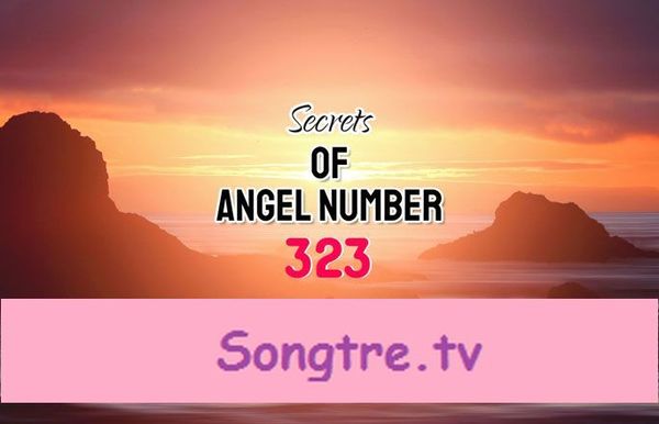 323 Anjelské číslo: Význam a symbolika
