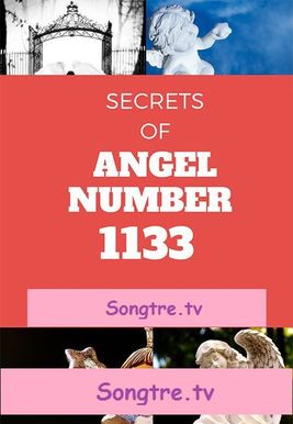 Anghel Number 1133 Meaning