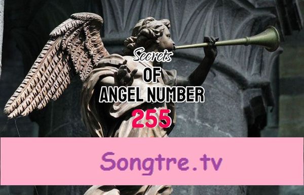 Número de Ángel 255: Significado y simbolismo