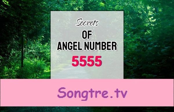 Número d'àngel 5555: significat i simbolisme