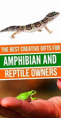 20 ideas de regalos para las personas que aman los reptiles y los anfibios