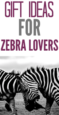 20 ideas de regalos para los amantes de las cebras