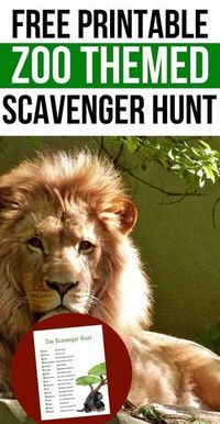 NEMOKAMAS spausdinimas Zoo Scavenger Hunt