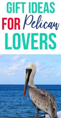 20 idej za darila za ljubitelje pelikanov