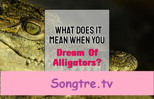 Drømme om alligatorer og krokodiller