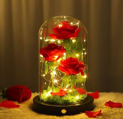 Forever Red Rose en cúpula de cristal con caja de regalo y tarjeta