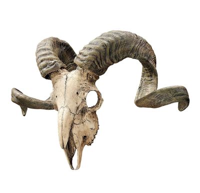 decoración de cráneo de carnero