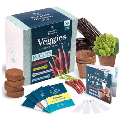Kit de cultivo de verduras único