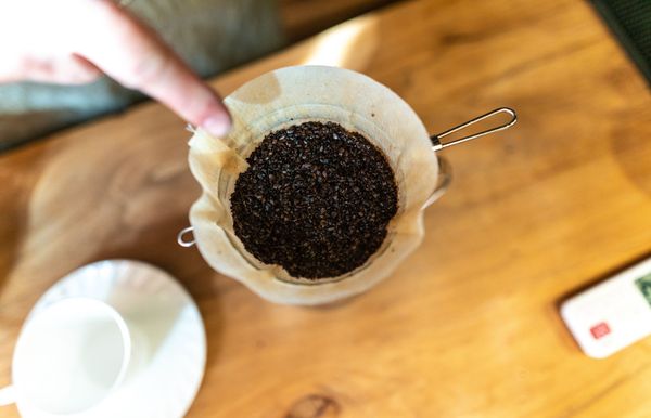 Како користити терен за кафу у свом врту за срећне, здраве биљке